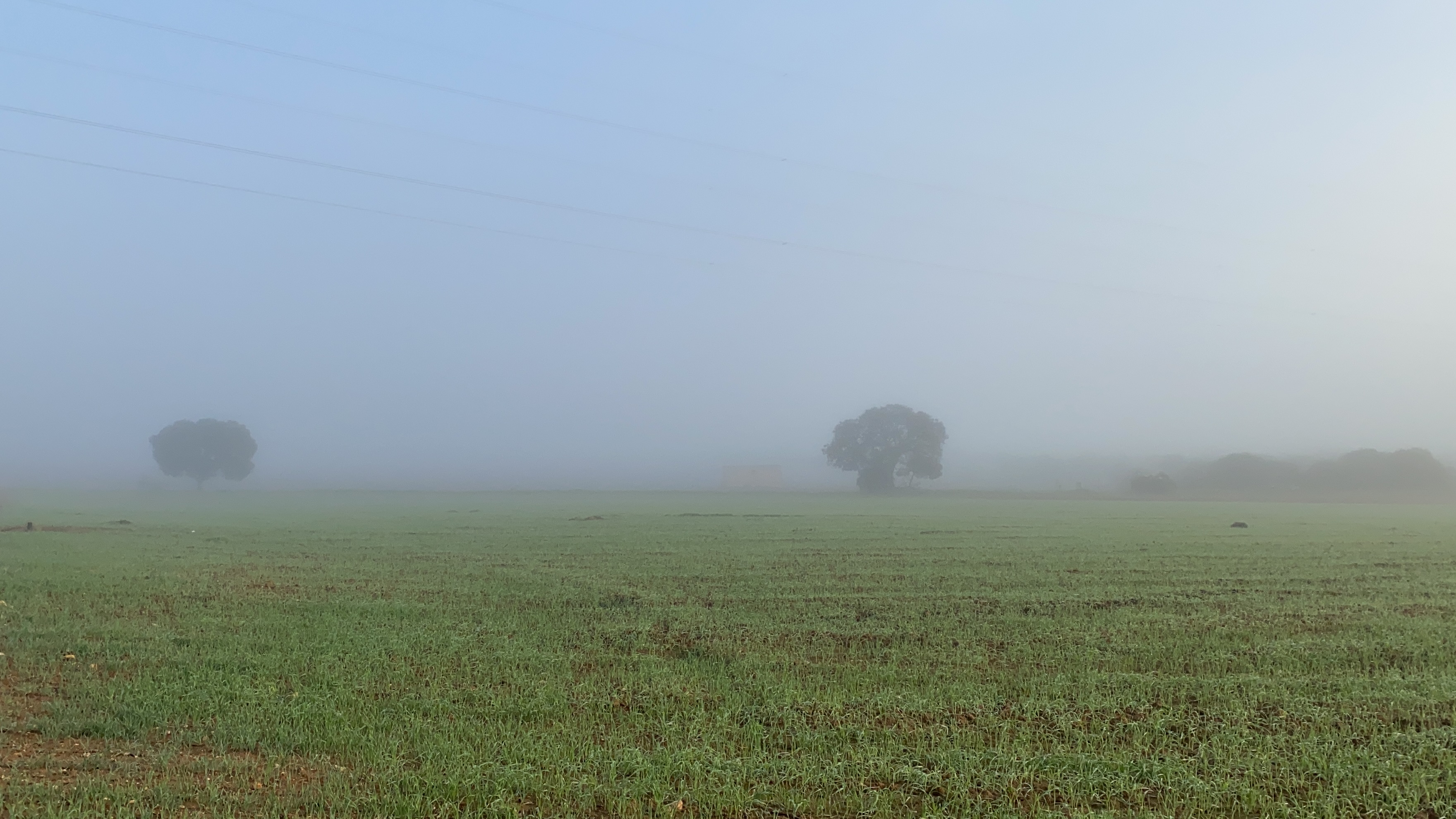 Campo con niebla